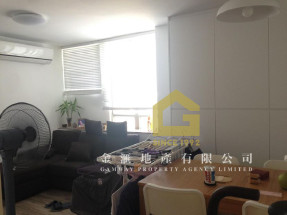 主區齊盤,一次睇晒 51453589