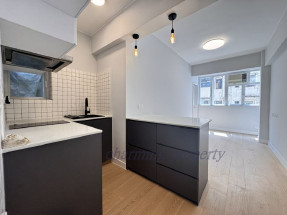 全新靚裝一房向南單位