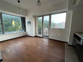 High floor, open city view, low age building, good for investment