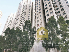 ^^最新放,可合作