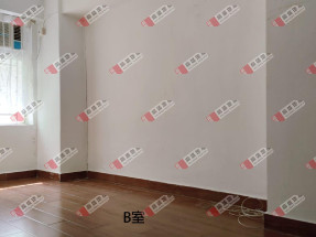 電梯洋樓，即買即收租