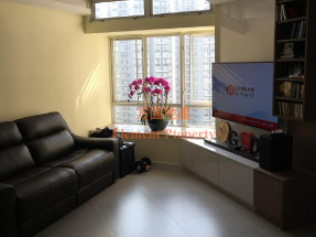 九成按揭,有會所,有蓋車位,可充電,