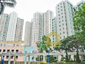 主區齊盤,一次睇晒 51453589