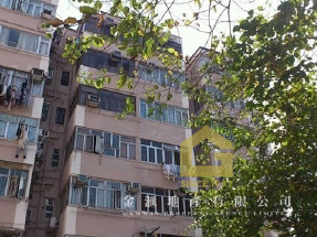 占占主區推介,齊盤