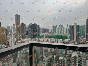 鬧市中的後花園!....