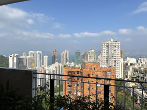 城市景觀,寬敞客飯廳,有露台,連車位,
