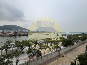 光猛開揚,