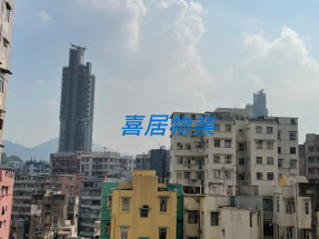 雅致裝修,光猛開揚,換樓精選,
