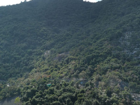 開揚山景雅裝兩房 極高層有匙 會所泳池 近地鐵站