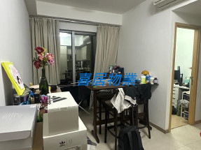 雅致裝修,換樓精選,