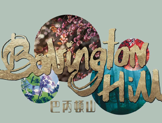 巴丙頓山