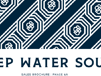 DEEP WATER SOUTH (MONT BLUE)