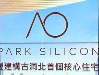PARK SILICON