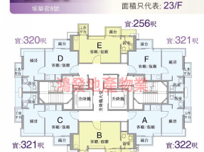 光猛開揚,高回報率,適合學生