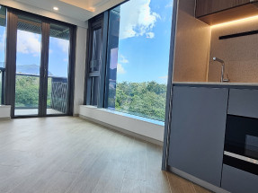 全新樓 高樓底 有會所