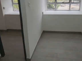 1房1廳 新油牆