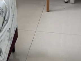 將軍澳領都$9000