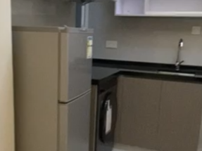 開放式，有基本傢私電器，可以養寵物，有電梯保安大閘，歡迎約睇