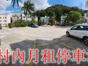 全新樓