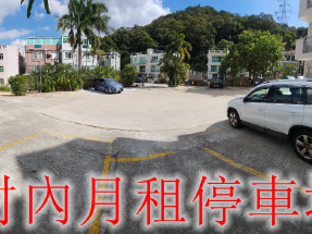 全新樓